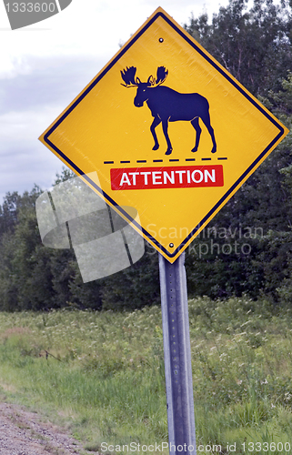 Image of Moose Crossing Sign