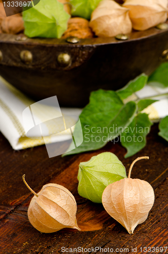 Image of Physalis fruits