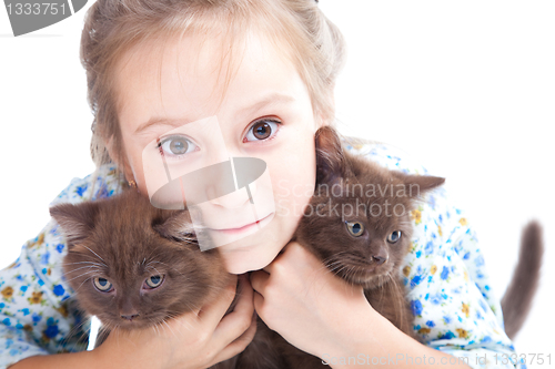 Image of girl gently embracing two chestnut British kittens