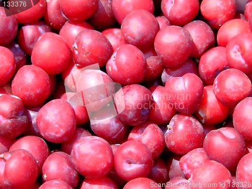 Image of Plum