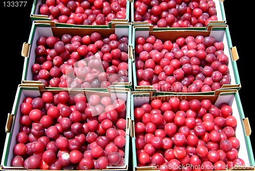 Image of Plum crates