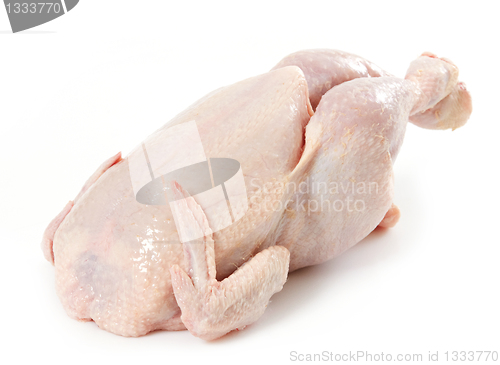 Image of fresh raw chicken