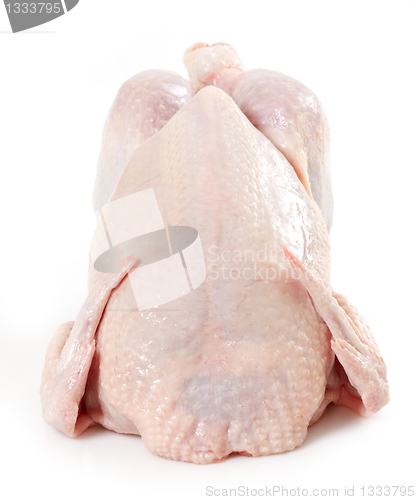 Image of fresh raw chicken