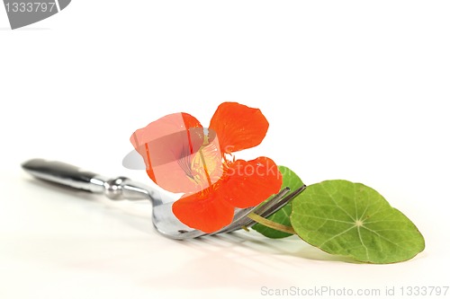 Image of Nasturtium on a fork