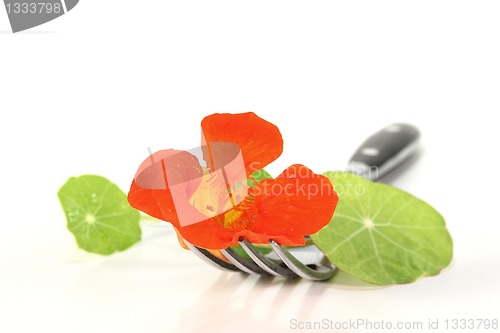 Image of Nasturtium on a fork