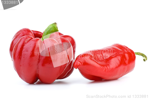 Image of Two sweet red bel peppers