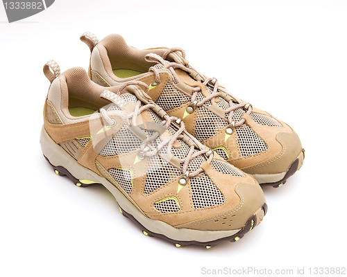 Image of The pair of running shoes 