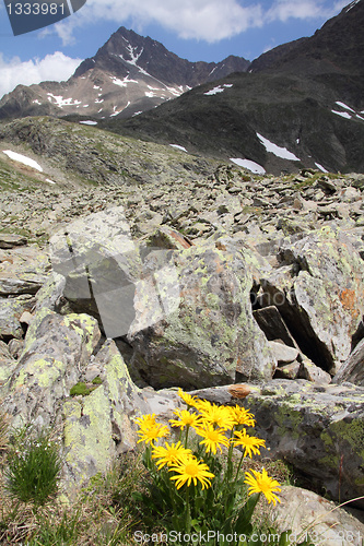 Image of Italian Alps