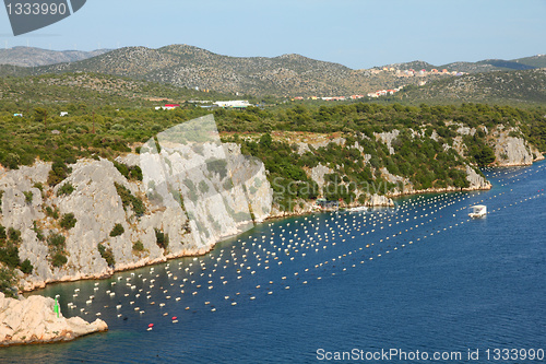 Image of Mussels farm