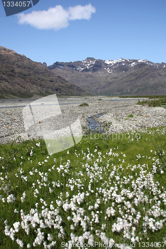 Image of Iceland - Skaftafell National Park