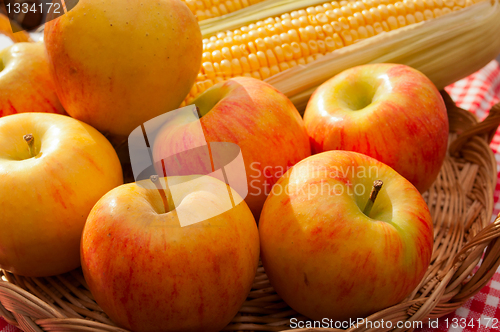 Image of Autumn Harvest