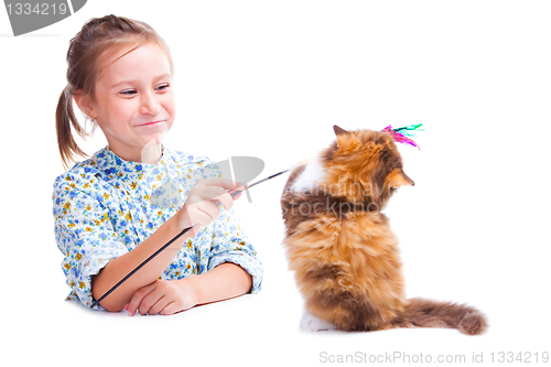 Image of girl playing with funny tortoise British kitten