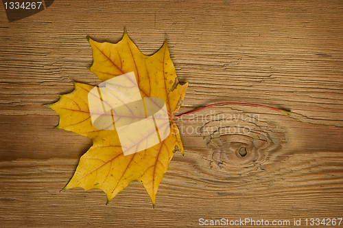 Image of autumn leaf over old board