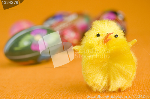 Image of Chicken and easter eggs