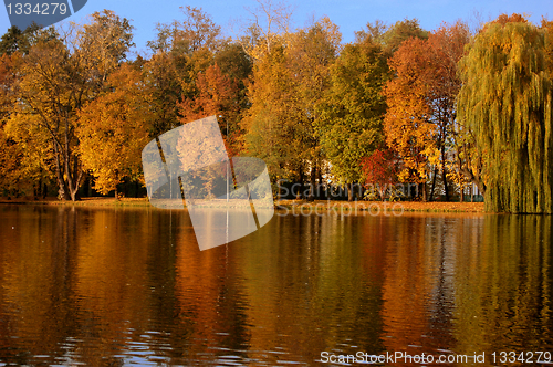 Image of Autumn scene