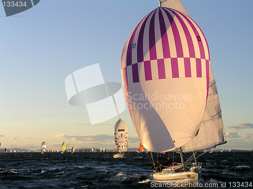 Image of spinnaker sailing