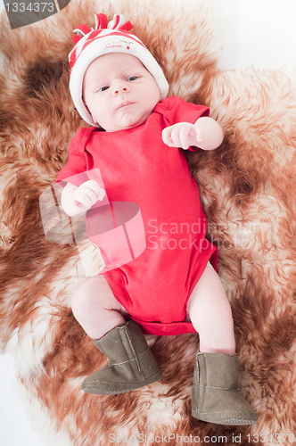 Image of Newborn baby in chritstmas hat