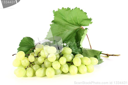 Image of Grapes