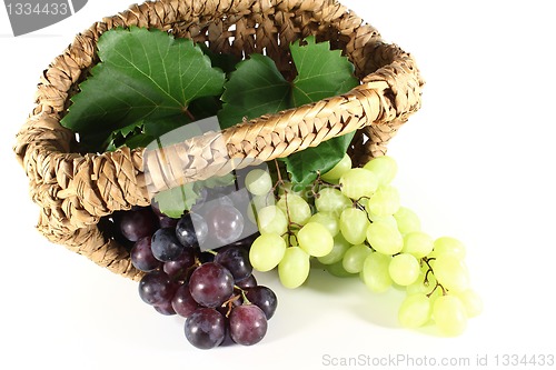 Image of Grapes