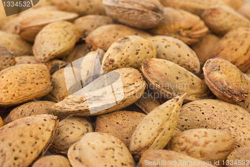 Image of Abstract background: unshelled almonds