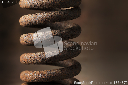 Image of Rusty Spring