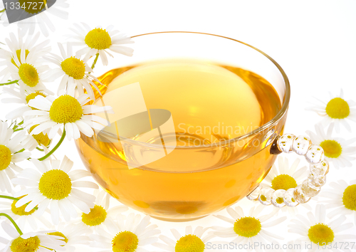 Image of Cup of chamomile tea over white background