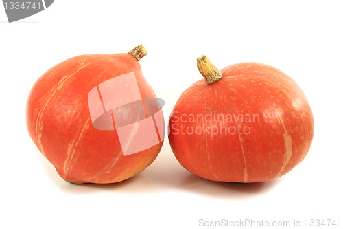 Image of Hokkaido pumpkins