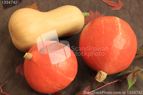 Image of Pumpkins.