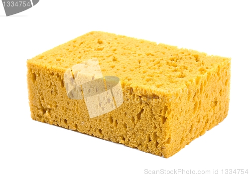 Image of Sponge