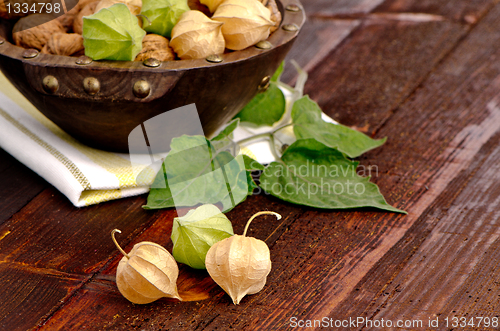 Image of Physalis fruits