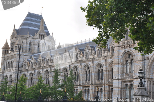 Image of Natural History Museum in London