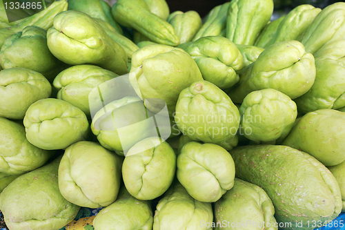 Image of Background of organic choko Sechium edule vegetable pears