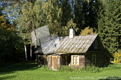 Image of The house and forest