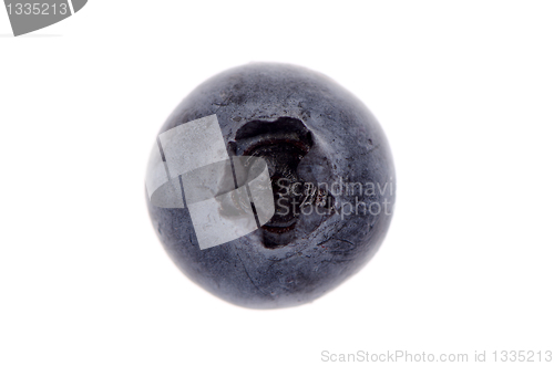 Image of Blueberry