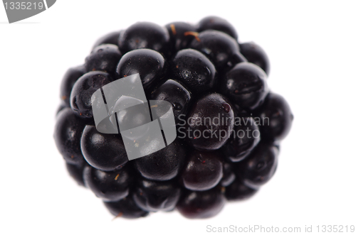 Image of Blackberry