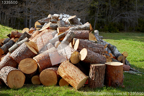 Image of pile of wooden logs