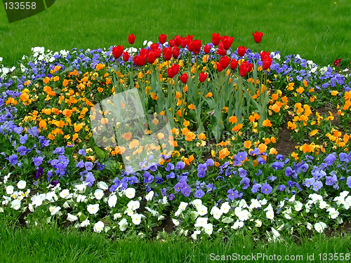 Image of Flowers alley