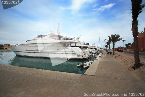 Image of Luxury yachts at El Gouna, Egypt
