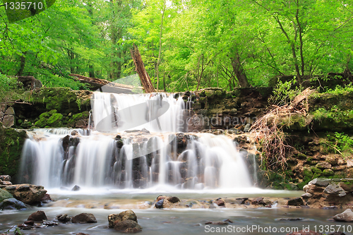 Image of Water on the rocks into the forest