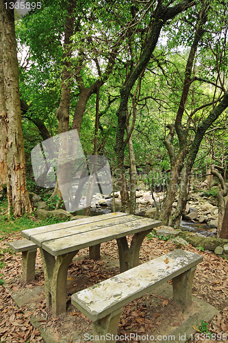 Image of Picnic place in forest 
