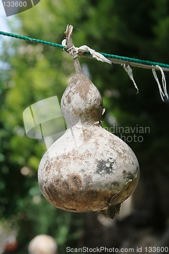 Image of Dry Bottle Gourd