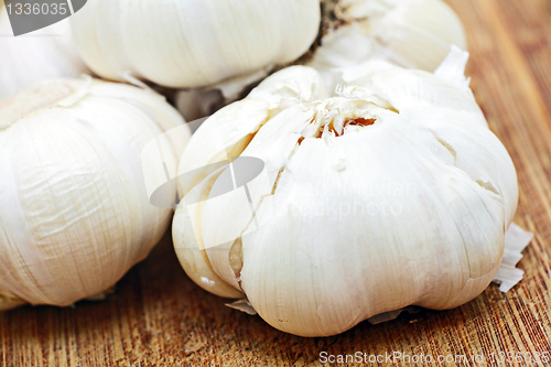 Image of garlic