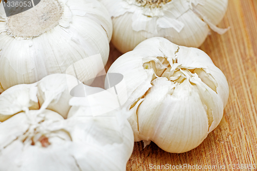 Image of garlic