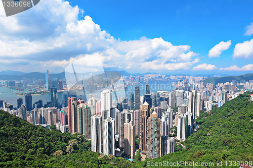 Image of Skyline of Hong Kong City from the Peak