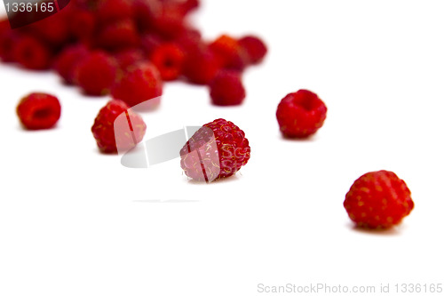 Image of Raspberries
