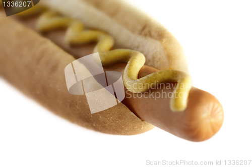 Image of Hot Dog