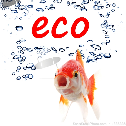 Image of eco