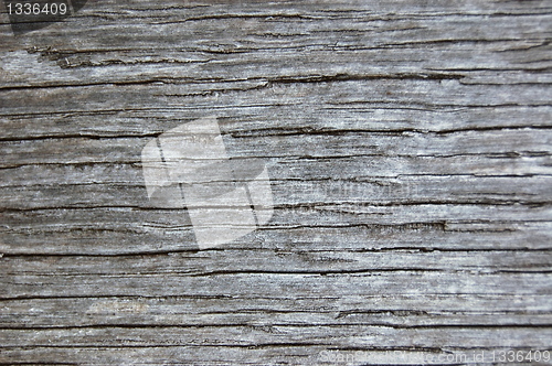 Image of wood texture