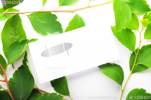 Image of blank paper