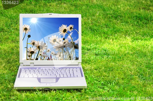Image of flowers and laptop